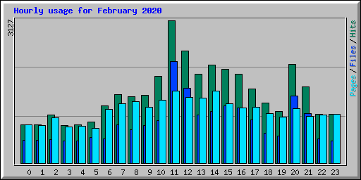 Hourly usage for February 2020