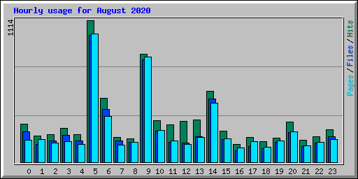 Hourly usage for August 2020